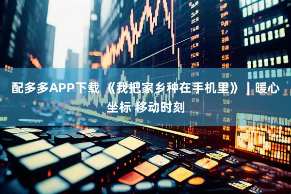 配多多APP下载 《我把家乡种在手机里》∣暖心坐标 移动时刻