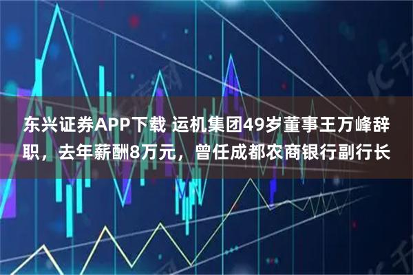 东兴证券APP下载 运机集团49岁董事王万峰辞职，去年薪酬8万元，曾任成都农商银行副行长