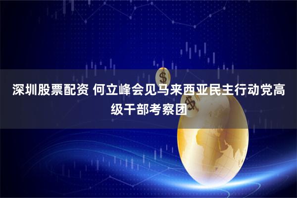 深圳股票配资 何立峰会见马来西亚民主行动党高级干部考察团