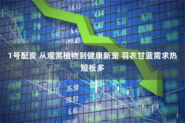 1号配资 从观赏植物到健康新宠 羽衣甘蓝需求热短板多